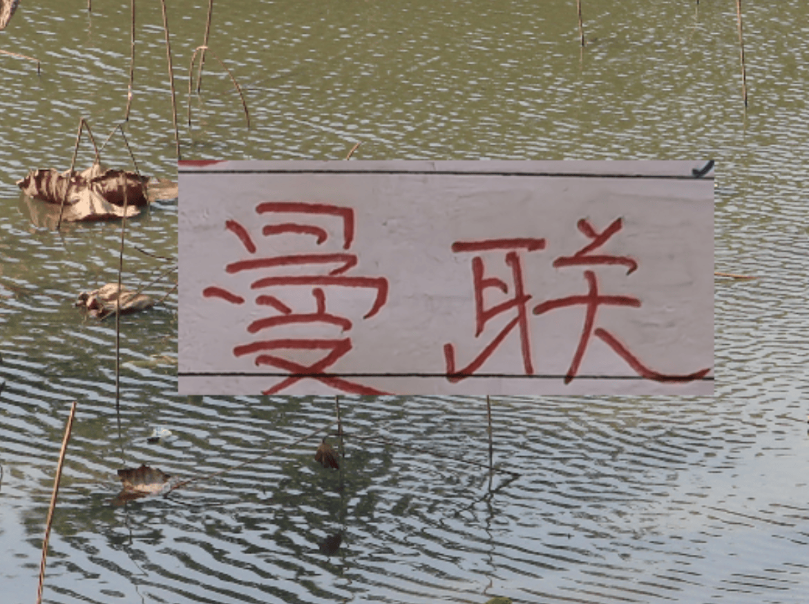 世界杯平台-有排面！U23国足上了《新闻联播》 曼联B费再次入选英超单轮MVP